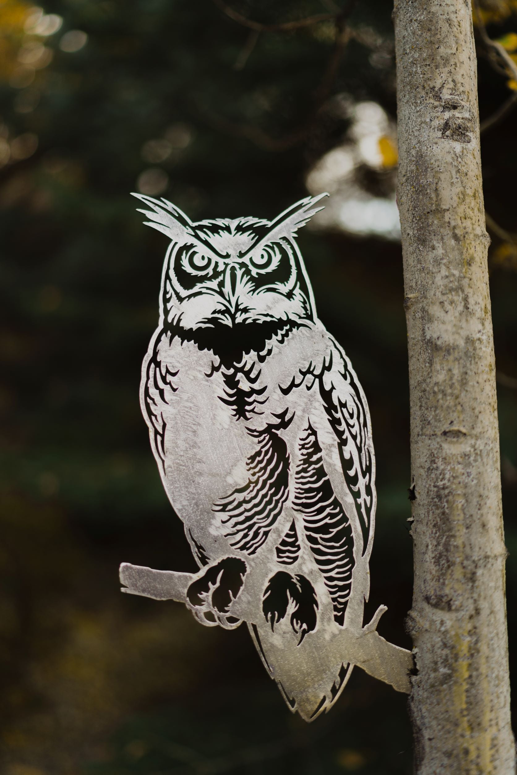 Great Horned Owl