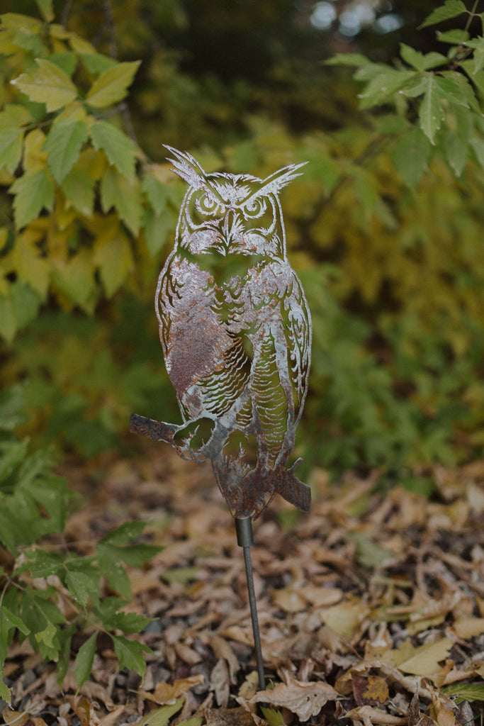 Great Horned Owl